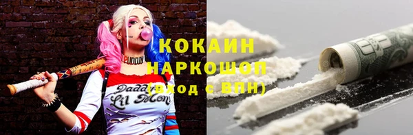 дживик Бородино