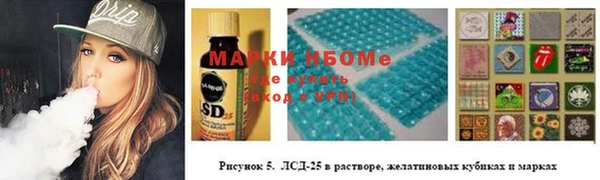дживик Бородино