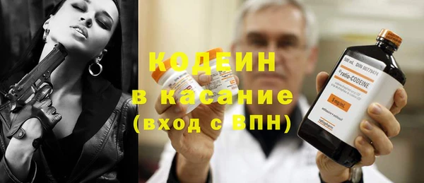 дживик Бородино