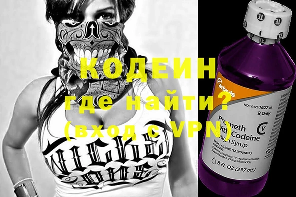 дживик Бородино