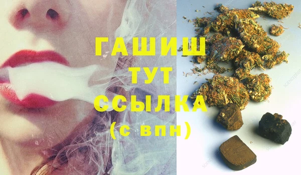 сатива Бронницы