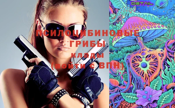 дживик Бородино