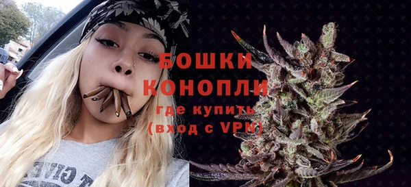 сатива Бронницы