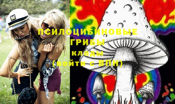 дживик Бородино