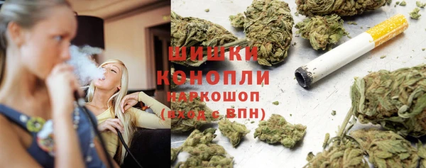дживик Бородино