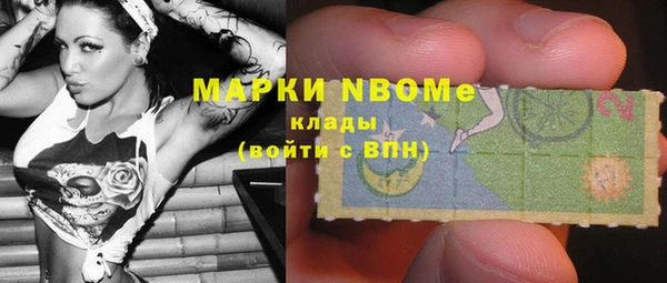 сатива Бронницы