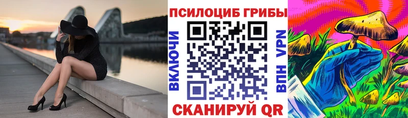 Купить  Ртищево  Псилоцибиновые грибы GOLDEN TEACHER 